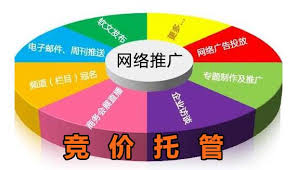 一個展示SEM競價關鍵詞優化策略的流程圖