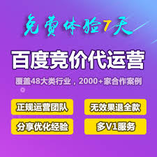 展示百度競價和SEO流量對比的柱狀圖